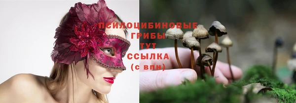 ПСИЛОЦИБИНОВЫЕ ГРИБЫ Иннополис