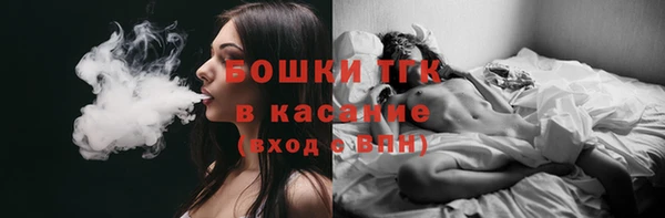 бошки Инта