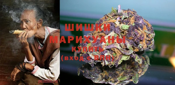 бошки Инта