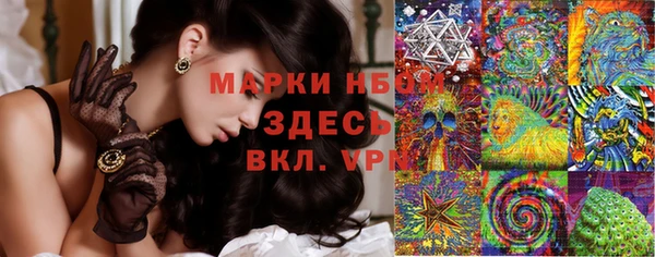 бошки Инта